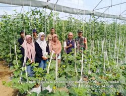 Kegiatan Inspiratif: Babinsa Berkolaborasi dengan Petani Melon di Desa Petung