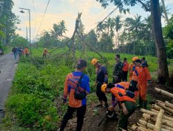 Hujan Deras dan Angin Kencang Terjang Desa Kajar, Babinsa Langsung Sigap di Lapangan