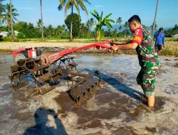 Babinsa Penang Bantu Petani Membajak Sawah, Siapkan Lahan untuk Pangan yang Lebih Baik