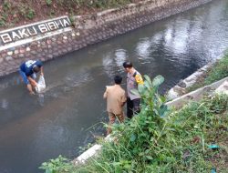 Mendukung program ketahanan Pangan Polsek Tegalampel Laksanakan Kegiatan Pelepasan 10.000 Benih Ikan