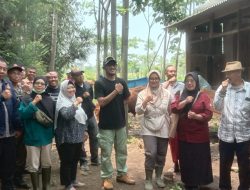 Bantuan Sapi Limusin Perkuat Perekonomian Desa Sukosari Lor