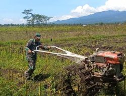 Babinsa Desa Koncer Kidul Perkenalkan Teknologi Traktor untuk Efisiensi Pertanian