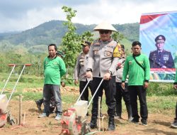 Manfaatkan Lahan Kritis, Polres Bondowoso Bersama Kodim 0822 Tanam Jagung Gelorakan Swasembada Pangan