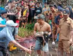 Heboh!! Penemuan Bayi di Sungai Sumber Pinang Bondowoso, Gemparkan Warga Setempat