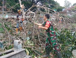 Aksi Cepat Babinsa Kodim 0822 Mengatasi Pohon Tumbang Di Wilayah Binaan