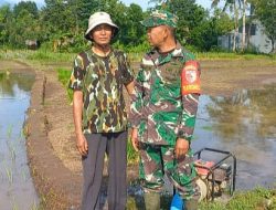 Serka Lugito Dampingi Petani Desa Koncer Kidul Bondowoso,Tanam Padi Inpari 32