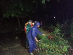 Pohon Tumbang di DesaTaman, Babinsa Kodim 0822/Bondowoso Sigap Atasi Akses Jalan Terhalang