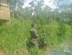 Babinsa Sertu Puji, Wujudkan Alam Hijau di Bondowoso Melalui Pemantauan Penghijauan Berkelanjutan