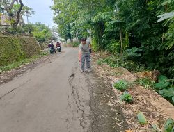 Bondowoso: Warga Selolembu Keluhkan Jalan Rusak Akibat Bahu Jalan Ambles, Waspadai Potensi Korban