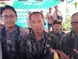 Gapoktan Al Barokah: Lombok Kulon Bondowoso, Bukti Nyata Sinergi Perguruan Tinggi dalam Membangun Bangsa