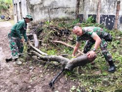 Anggota Kodim 0822 Bondowoso, Gotong Royong Pembersihan di Area Dapur Sehat