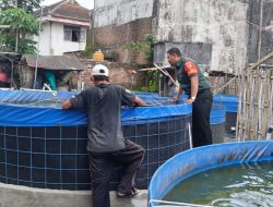 Pendampingan Budidaya Ikan Lele oleh Babinsa 0822 di Desa Bataan, Tenggarang, Bondowoso