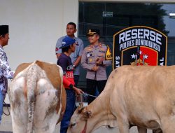 Kapolres Bondowoso Serahkan kembali Tiga Ekor Sapi Milik Warga yang telah di curi