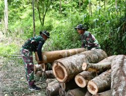 Semangat Pengabdian! Satgas TMMD 123 Kodim Bondowoso Angkut Kayu Balok untuk Warga