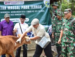 TMMD 123 Kodim 0822 Bondowoso Tingkatkan Kesehatan Ternak di Desa Gunosari