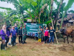 TMMD ke-123 Kodim 0822 Bondowoso Gelar Pengobatan Massal Ternak di Desa Trotosari