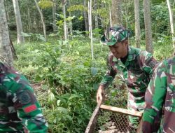 Sinergi TNI dan Masyarakat: TMMD 123 Bondowoso Percepat Pembangunan Jalan di Gunosari