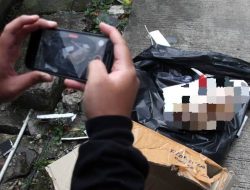 SMSI Bondowoso Sebut Kebebasan Pers Terancam Usai Media Tempo Dapat Teror Kepala Babi dan Bangkai Tikus