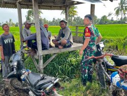 Gerak Cepat, Babinsa Dampingi Petani Demi Ketahanan Pangan Nasional
