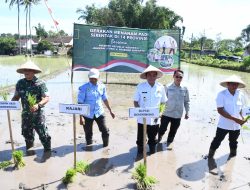 Kasdim 0822 Hadiri Tanam Padi Serentak 14 Provinsi bersama Presiden RI Secara Vicon