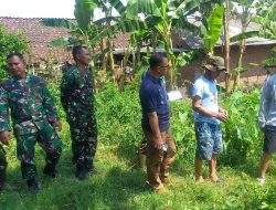 Kodim 0822 Bondowoso Siapkan Pilot Project Ketahanan Pangan Terpadu 10 Hektar di Tenggarang