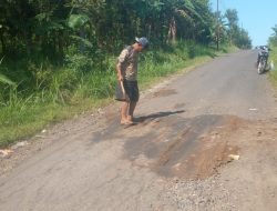 Inisiatif Mandiri: Warga Mandiro Tambal Jalan Rusak Demi Keselamatan Bersama