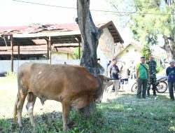 Kodim 0822 Bondowoso, Suasana Haru dan Penuh Berkah di Balik Kurban, Ini Pesan Dandim