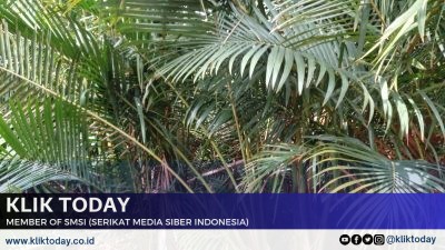 Meulaboh Aceh barat