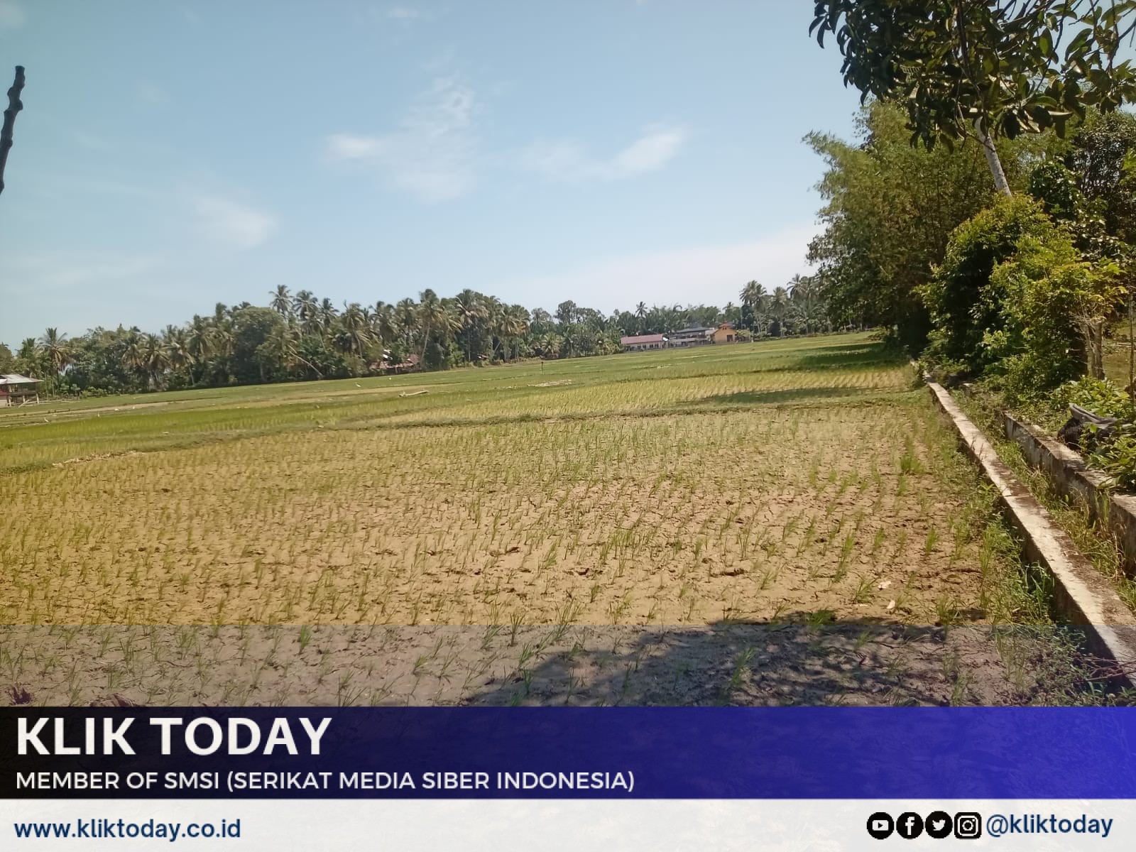 Aceh