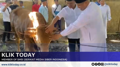 Idul Adha 1446 H, Ponpes Al Ishlah Catat Rekor Kurban 1.161 Ekor, Termasuk Sapi dari Presiden RI dan Kapolri