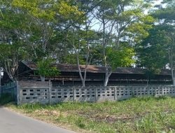 Jeritan warga Kedungdowo: kisah dramatis di balik bau busuk yang membungkam