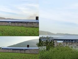 Situbondo: Bau Menyengat dari Peternakan Ayam di Kendit Ganggu Pengguna Jalan