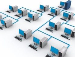 Ijen Media Network: Media Lokal Tapal Kuda yang Jadi Motor Penggerak Ekonomi Daerah