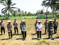 Polri dan Pemkab Bondowoso Perkuat Sinergi Ketahanan Pangan Nasional Lewat Penanaman Jagung Serentak