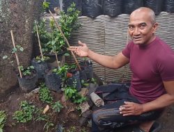 Mantan Kades Koncer Kidul Dorong PMKD Jadi Motor Penggerak Ekonomi Masyarakat Bondowoso, Fokus Utamanya Cabe Jawa