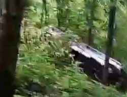 Laka Tunggal di Arak-arak: Satlantas Bondowoso Gerak Cepat Lakukan Pertolongan, Tujuh Orang Luka-luka