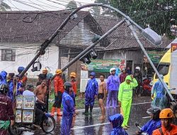 Gercep! Polsek Bondowoso Kota Tangani Pohon Tumbang dan Tiang Listrik Roboh Akibat Cuaca Buruk