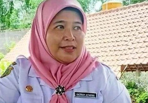 Plt Kepala BKPSDM Bondowoso, Anisatul Hamidah