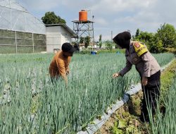 Polsek Warujayeng Dorong Pemanfaatan Pekarangan Produktif, Bhabinkamtibmas Pantau Lahan P2B di Tanjunganom