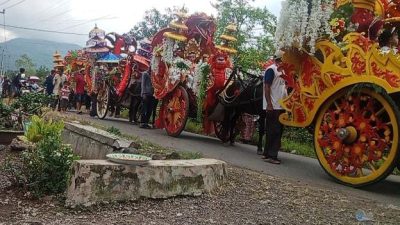 MERIAH! Ratusan Peserta Pawai PP Miftahul Ulum Semarakkan Jalan Purnama