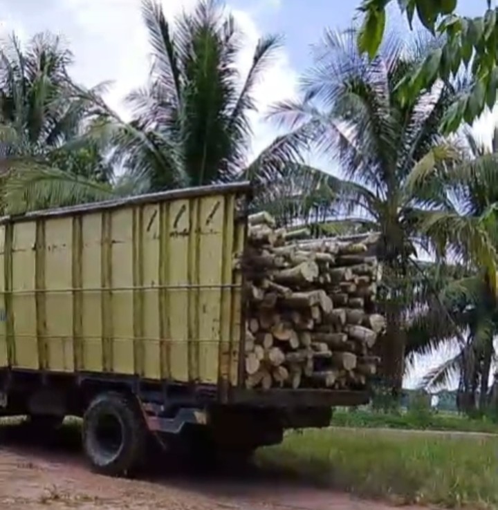 Diduga Over Tonase, Truk Pengangkut Kayu Rusak Jalan Desa di Ogan Ilir, Warga Minta Penertiban