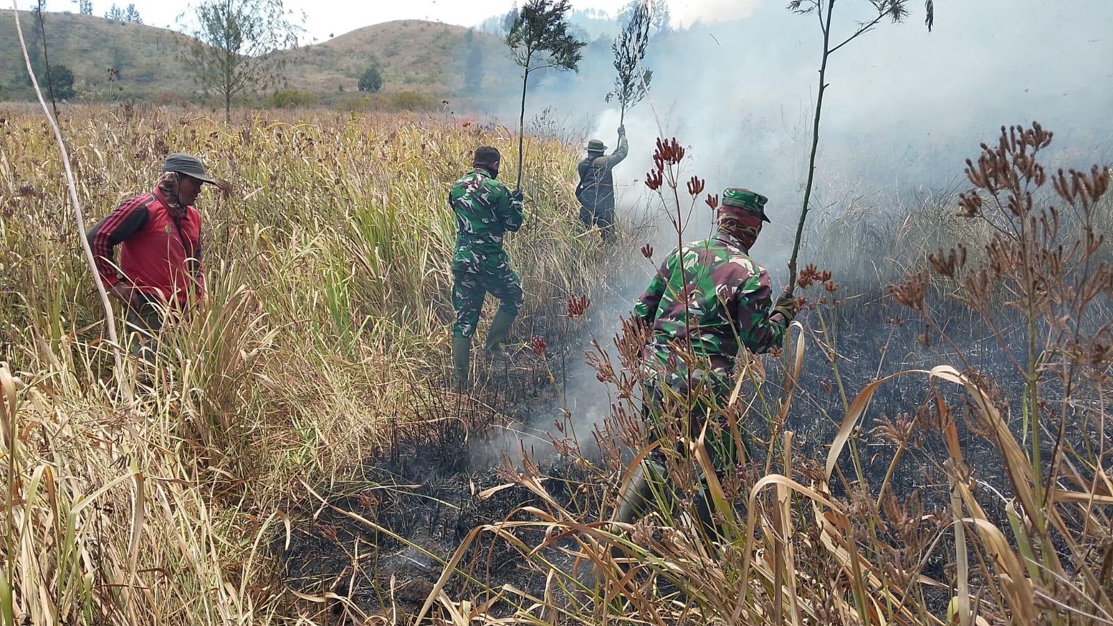 Danposramil Ijen Bondowoso Sebut Koordinasi Jadi Kunci Penanganan Karhutla di Curah Penai