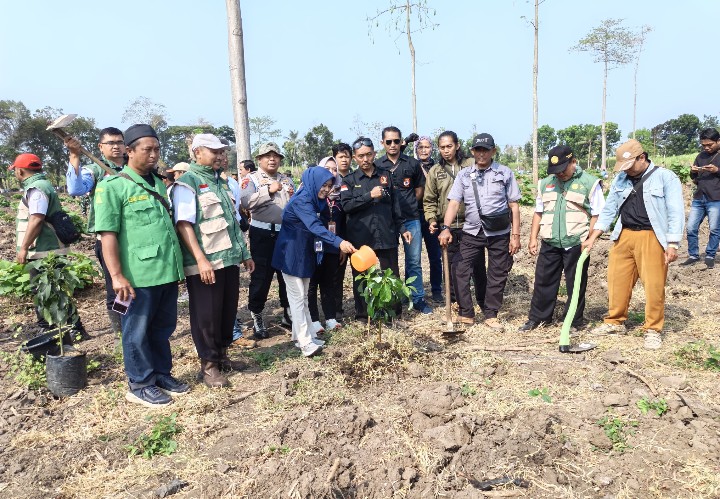HUT ke-81 TNI, Kodim 0822 Bondowoso Gelar Penghijauan di Lahan Perhutani Tapen