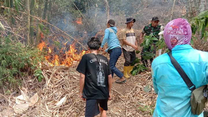 Karhutla di Pakisan Bondowoso, Babinsa Bersama Tim Gabungan Lakukan Pemadaman