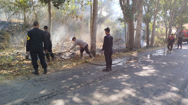 Tim Gabungan Padamkan Karhutla di Blawan dan Black Lava Ijen, Luas Area Capai 11 Hektare